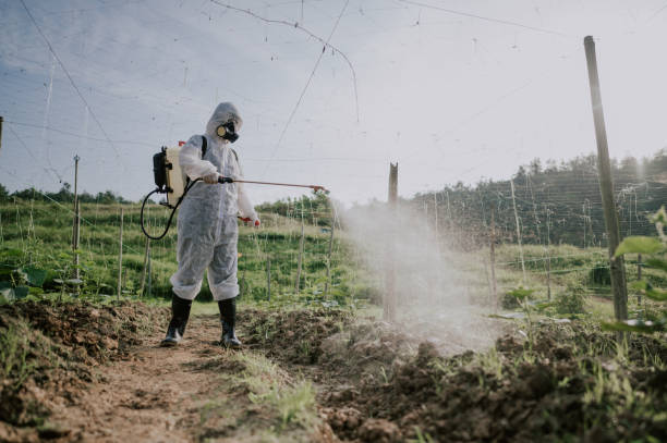 Best Mosquito Control Services  in Harvard, IL