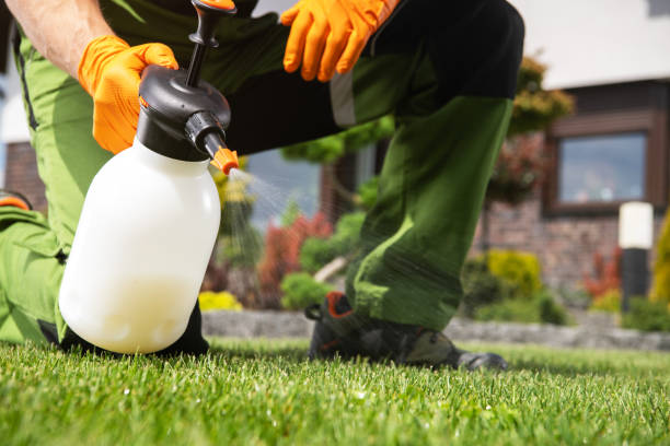 Best Rat Extermination Near Me  in Harvard, IL