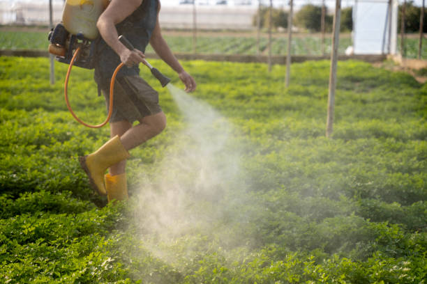 Best Pest Removal Services  in Harvard, IL