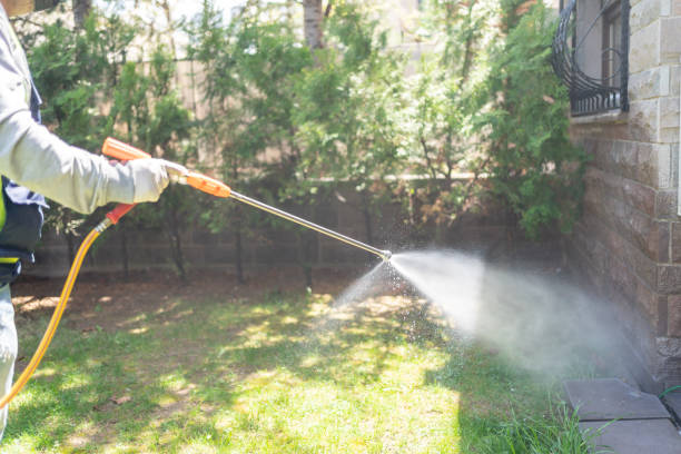 Best Local Pest Control Services  in Harvard, IL