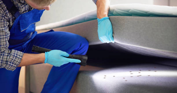 Best Affordable Pest Control Services  in Harvard, IL