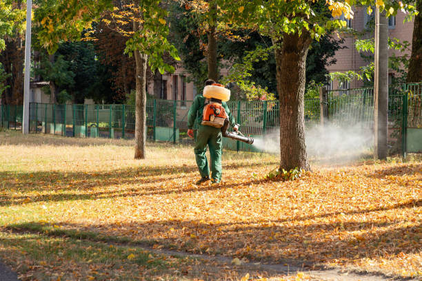 Pest Prevention Services in Harvard, IL