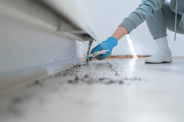 Best Best Pest Control Companies  in Harvard, IL