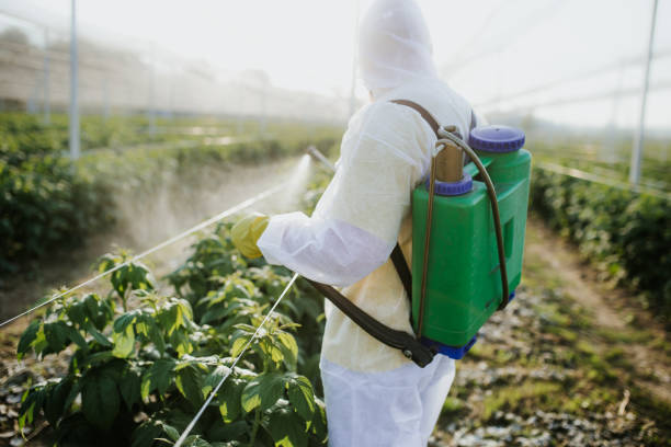 Trusted Harvard, IL Pest Control Experts